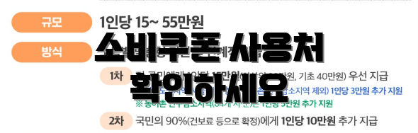 소비쿠폰 사용처 확인하세요