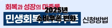 2025년 소비쿠폰 변화
