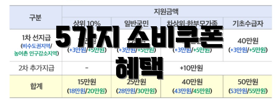 5가지 소비쿠폰 혜택