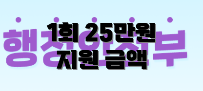 1회 25만원 지원 금액