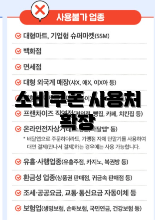 소비쿠폰 사용처 확장