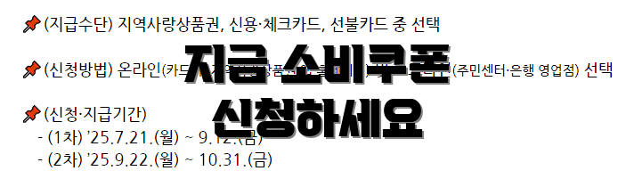 지금 소비쿠폰 신청하세요
