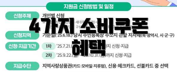 4가지 소비쿠폰 혜택