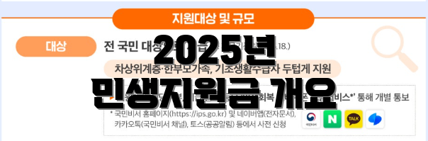 2025년 민생지원금 개요