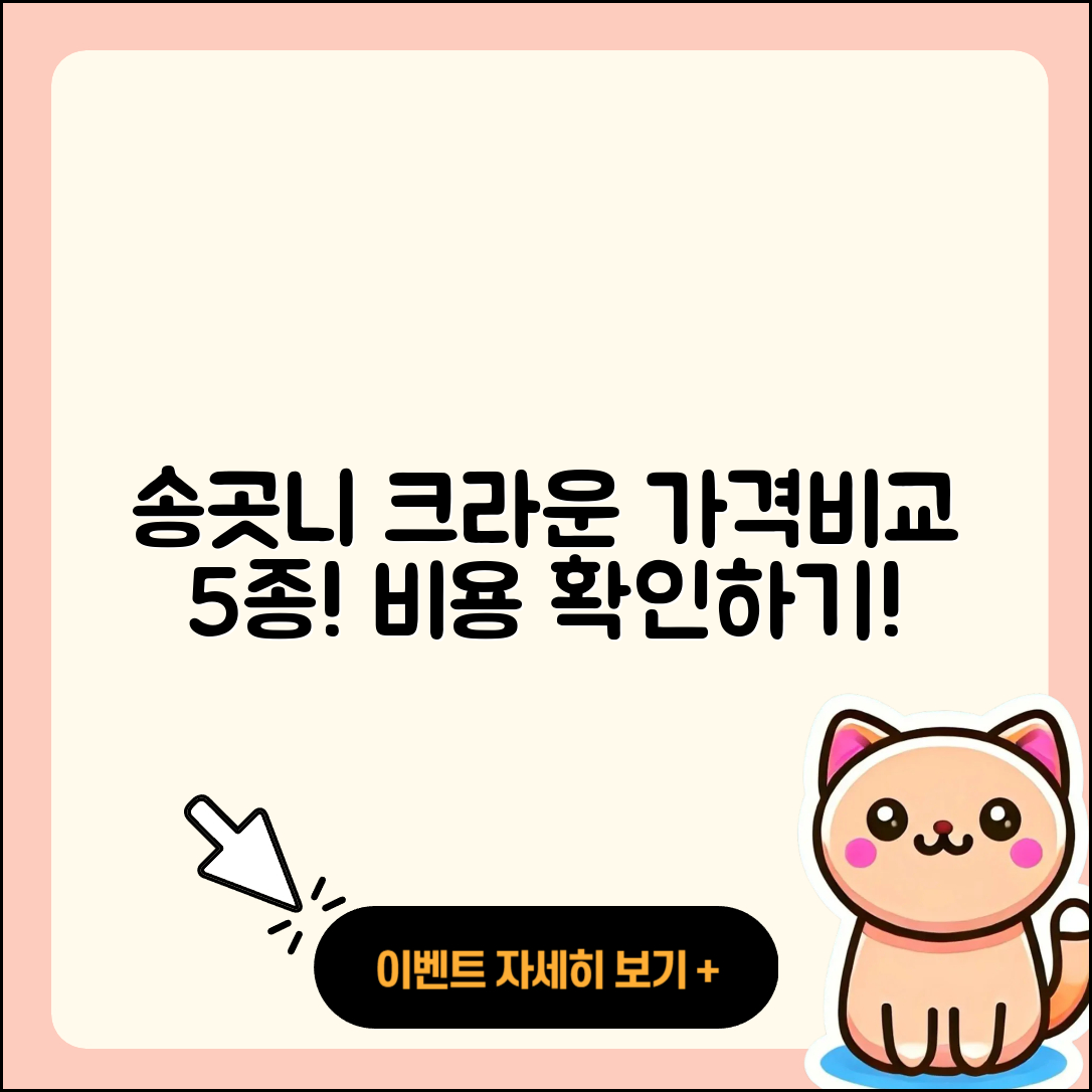 송곳니 크라운 가격 비교 5가지