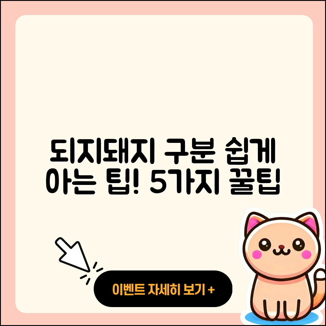 되지돼지 구분 쉽게 알아보는 5가지 팁