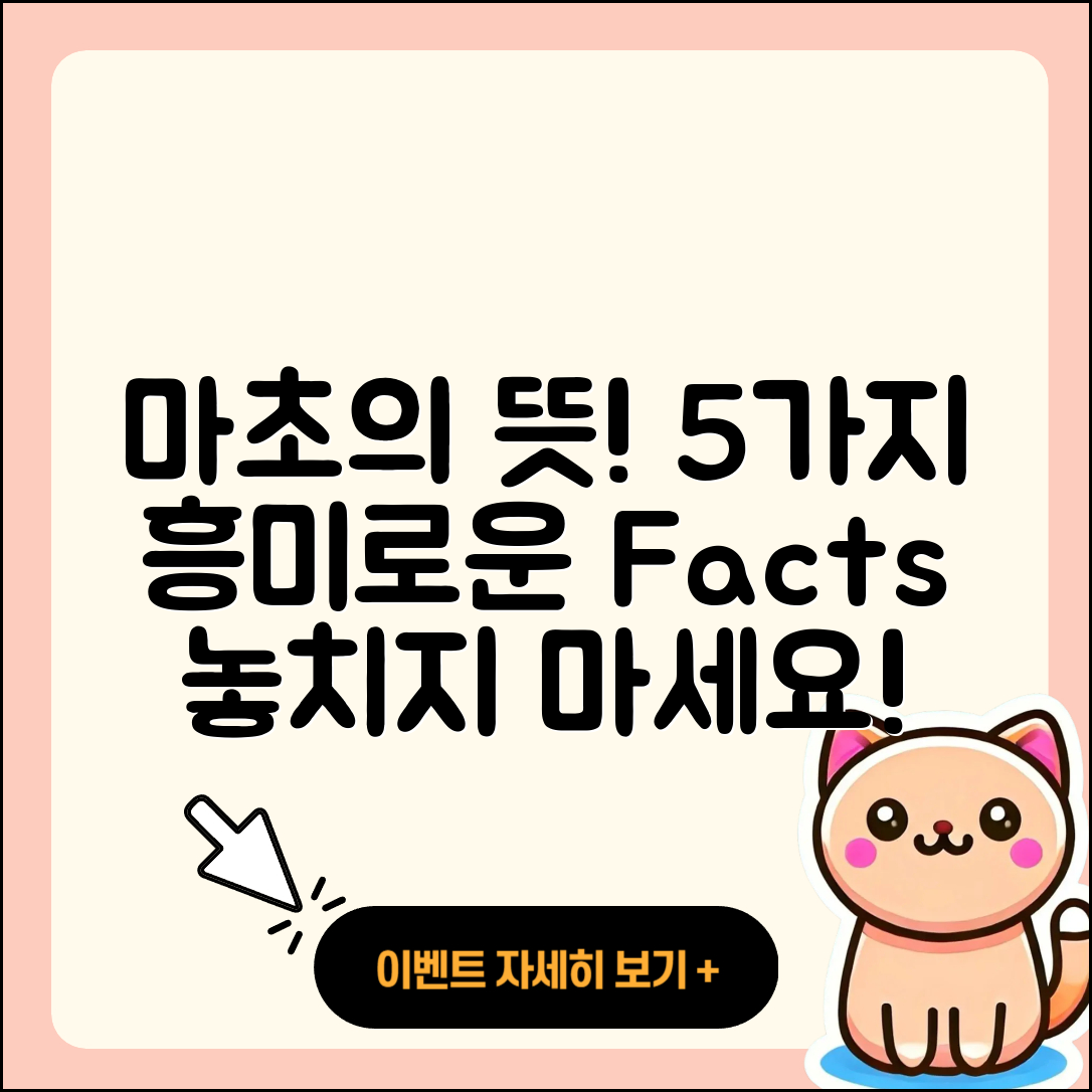 마초 뜻 알아보는 5가지 흥미로운 사실