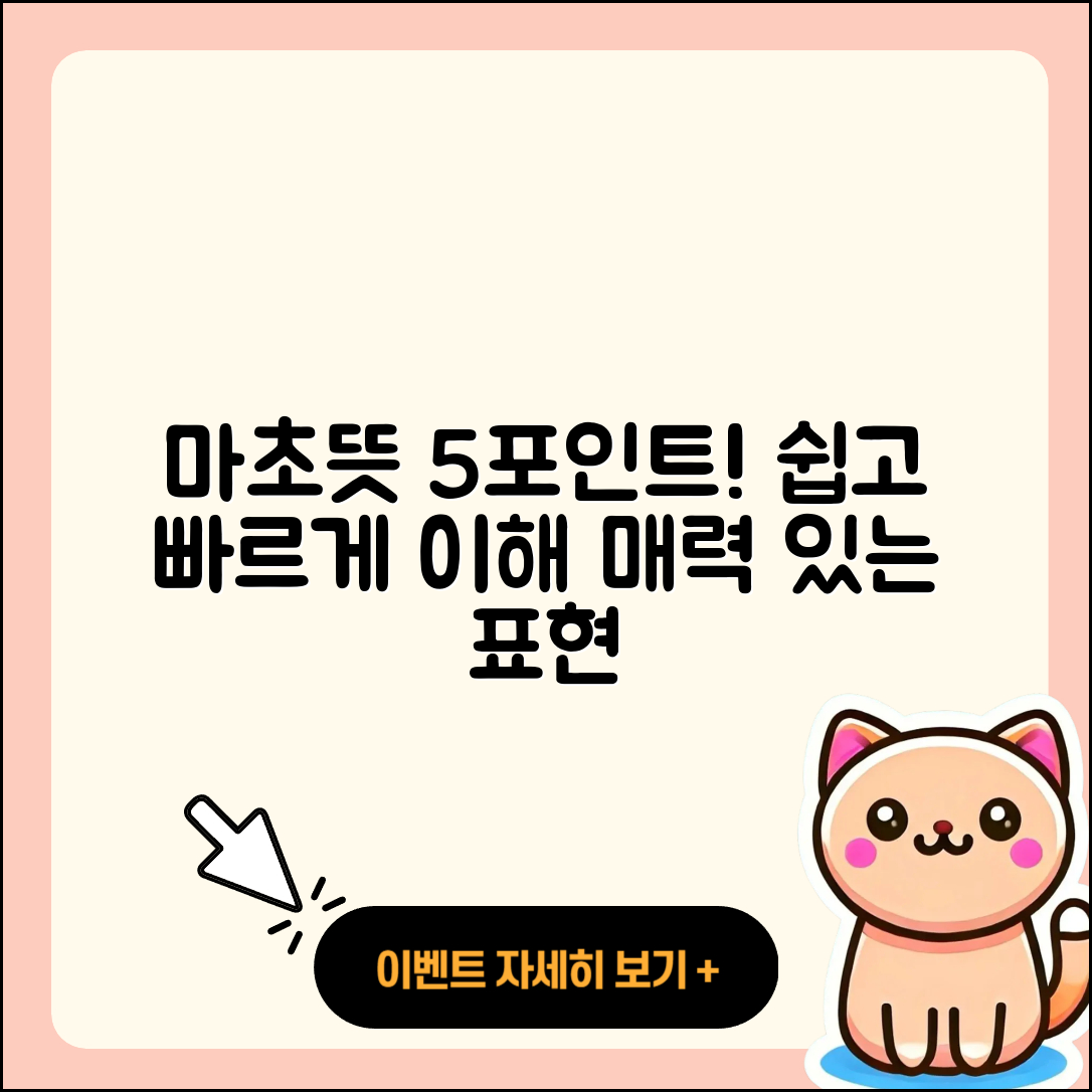 마초뜻 쉽게 이해하는 5가지 포인트
